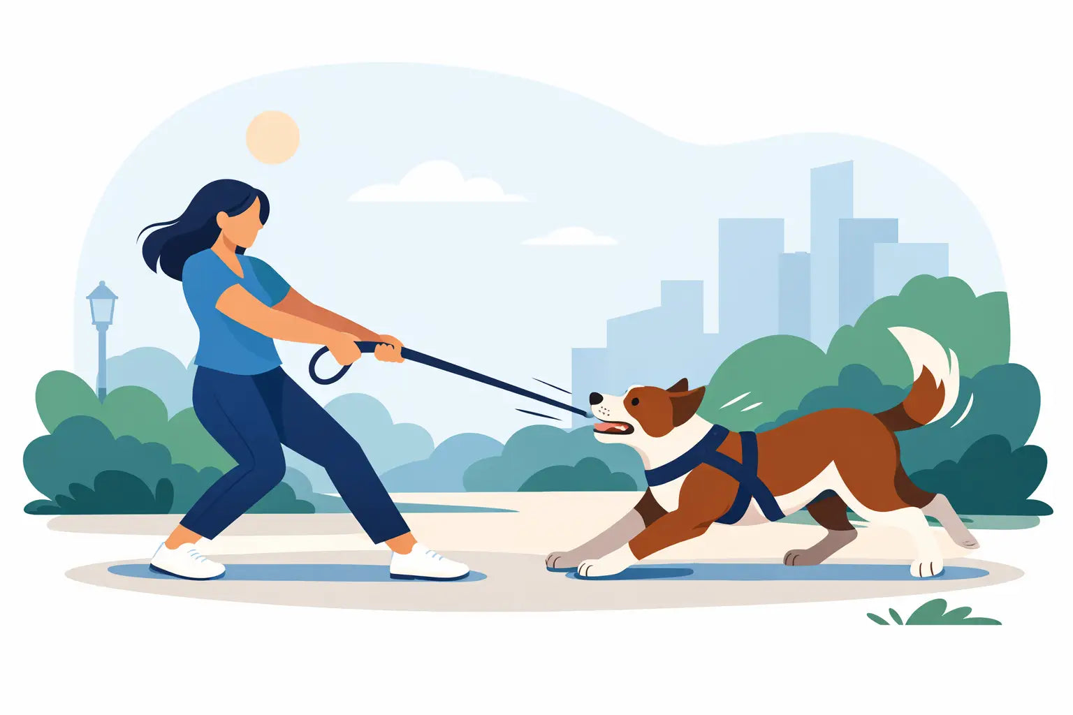 How to Stop Leash Pulling on Walks
