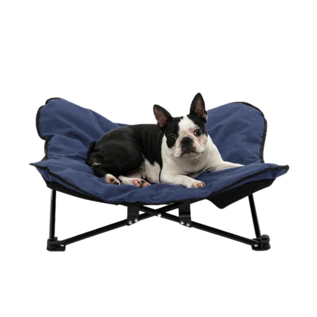 Charlie’s – Foldable Outdoor Camping Pet Bed – Blue - Pets and More