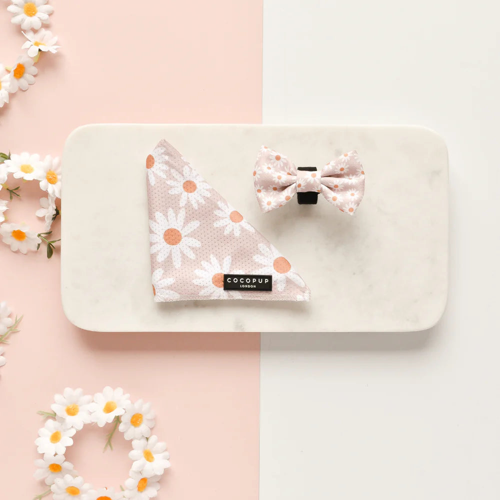 Cocopup London – Bow Tie – Daisy Chain