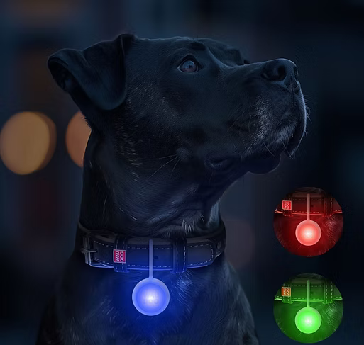 WAUDOG – LED Dog Light - Pets and More