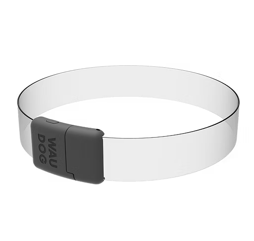 WAUDOG – LED Collar - Pets and More