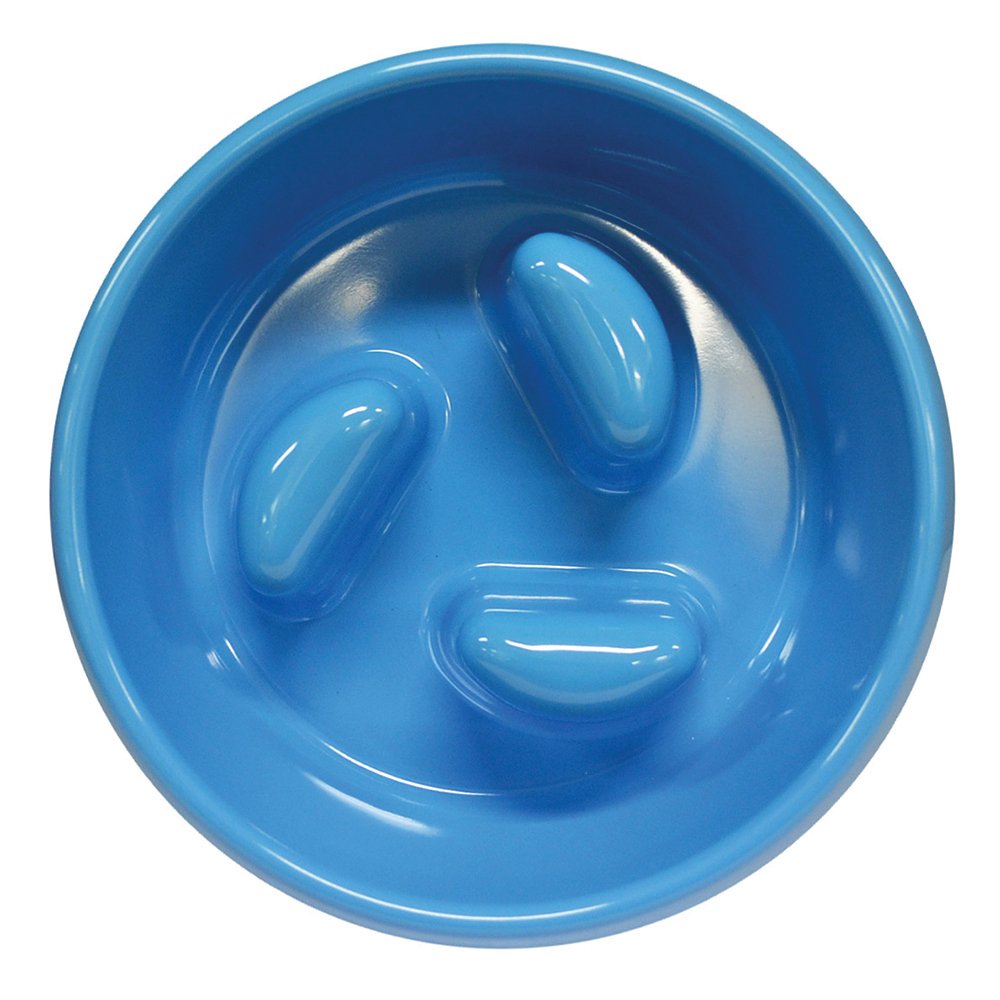 Scream – Round Slow Down Pillar Bowl – Loud Blue - Pets and More