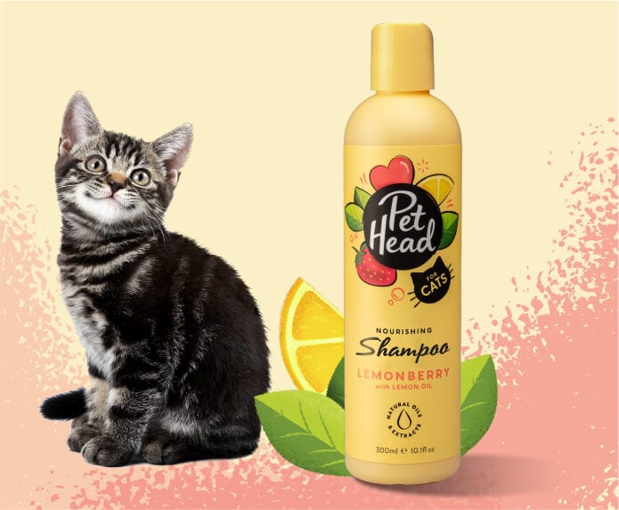 Pet Head – Felin’ Good - Cat Shampoo - Pets and More
