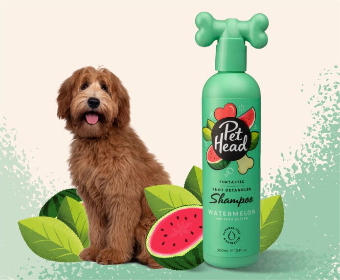 Pet Head - Furtastic - Knot Detangler Conditioner - Pets and More