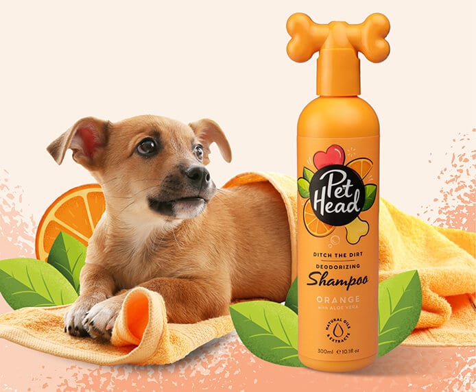 Pet Head – Ditch the Dirt - Shampoo - Pets and More