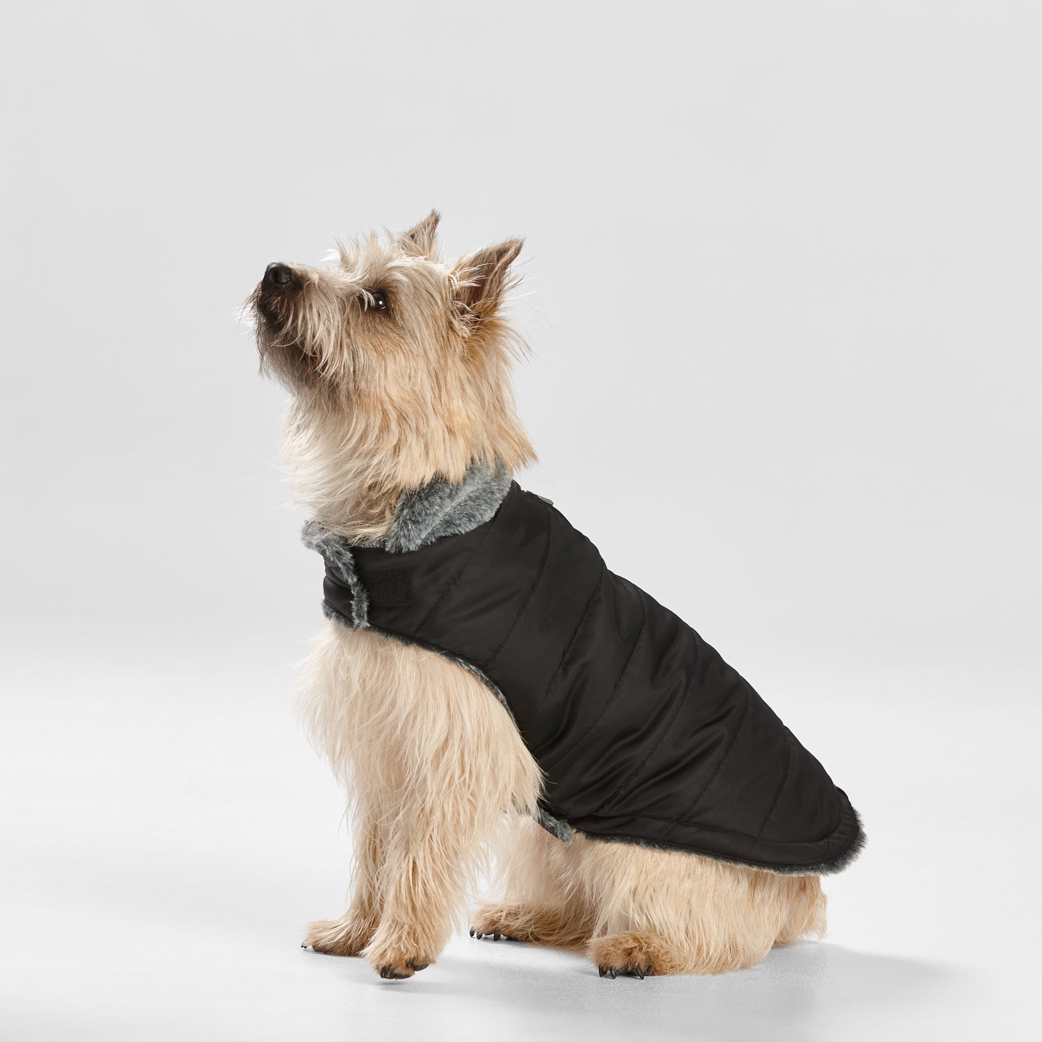 Snooza Wear – Fur Collar Puffer – Black - Pets and More