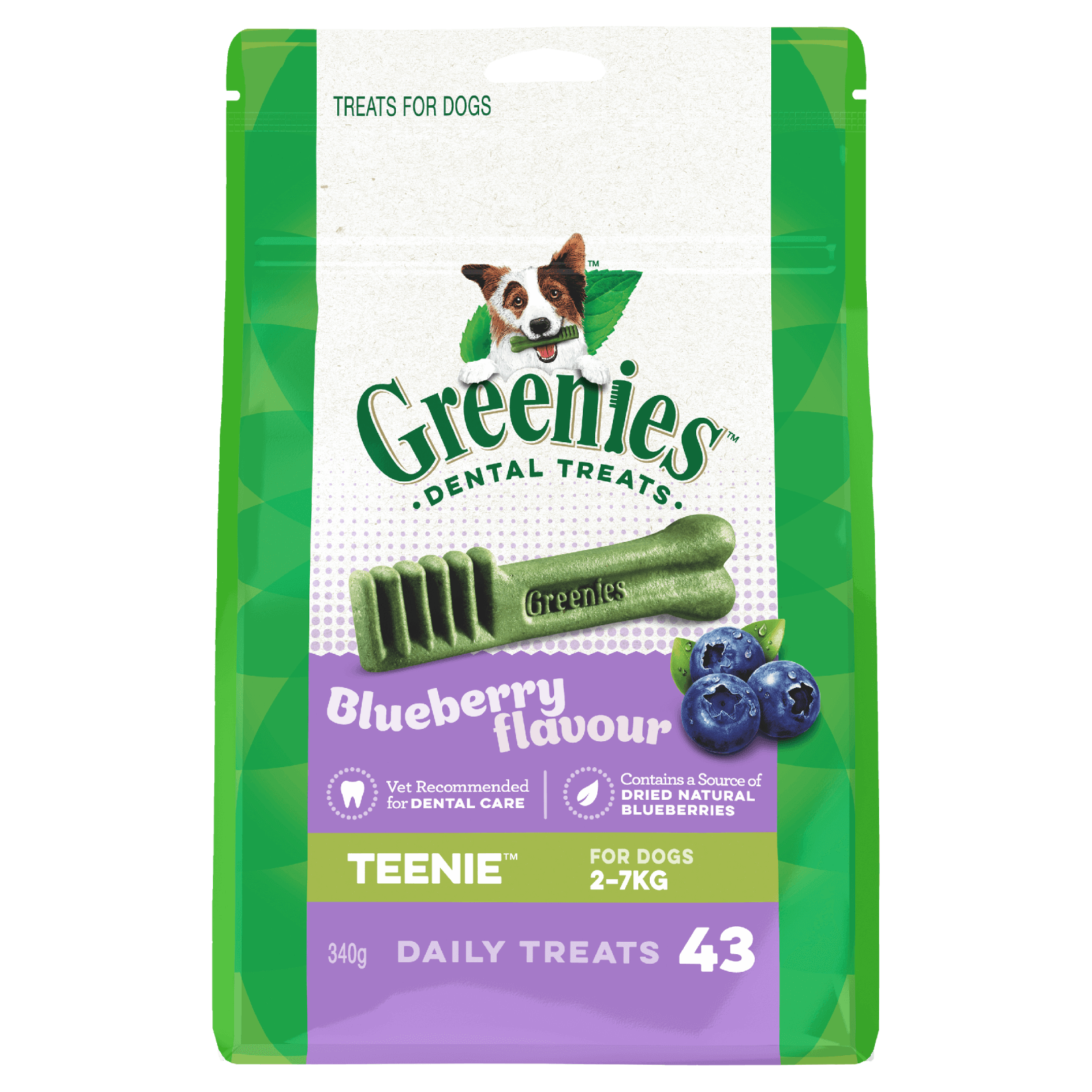 Greenies – Dental Dog Treats – Blueberry