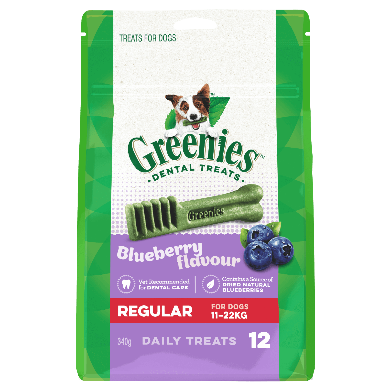 Greenies – Dental Dog Treats – Blueberry