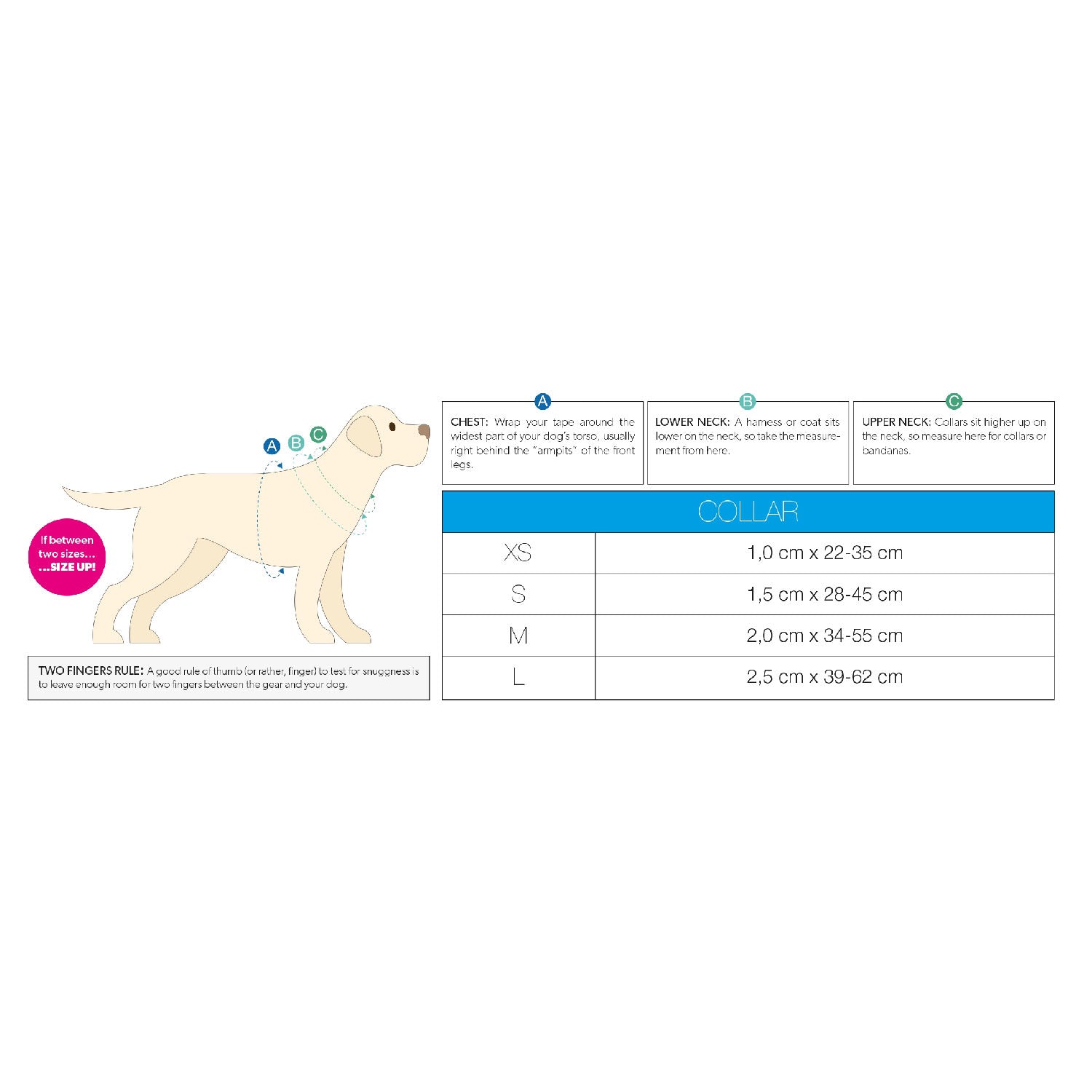 Max & Molly Smart ID Dog Collar - Unicorn - Pets and More