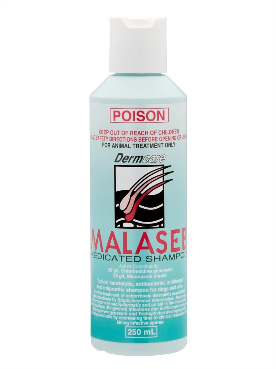 Dermcare – Malaseb – Medicated Shampoo - Pets and More