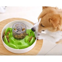 SPIN UFO Maze Interactive Dog Bowl and Slow Feeder - Pets and More