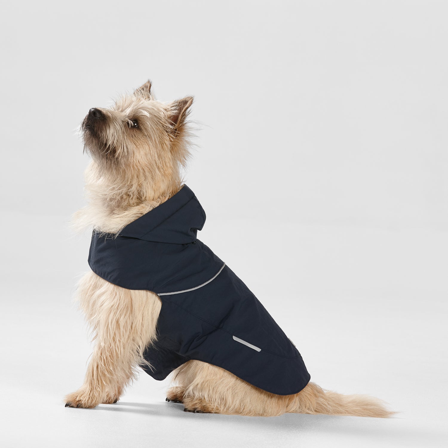 Snooza Wear – Rip-Stop Hooded Raincoat – Navy - Pets and More
