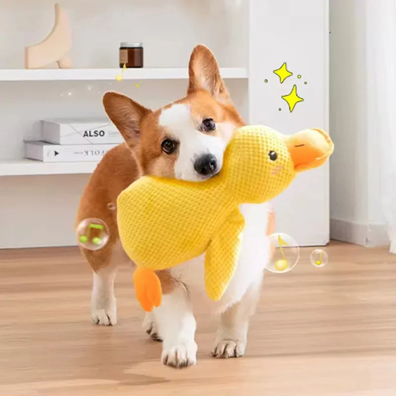 Duck plush toy - Pets and More