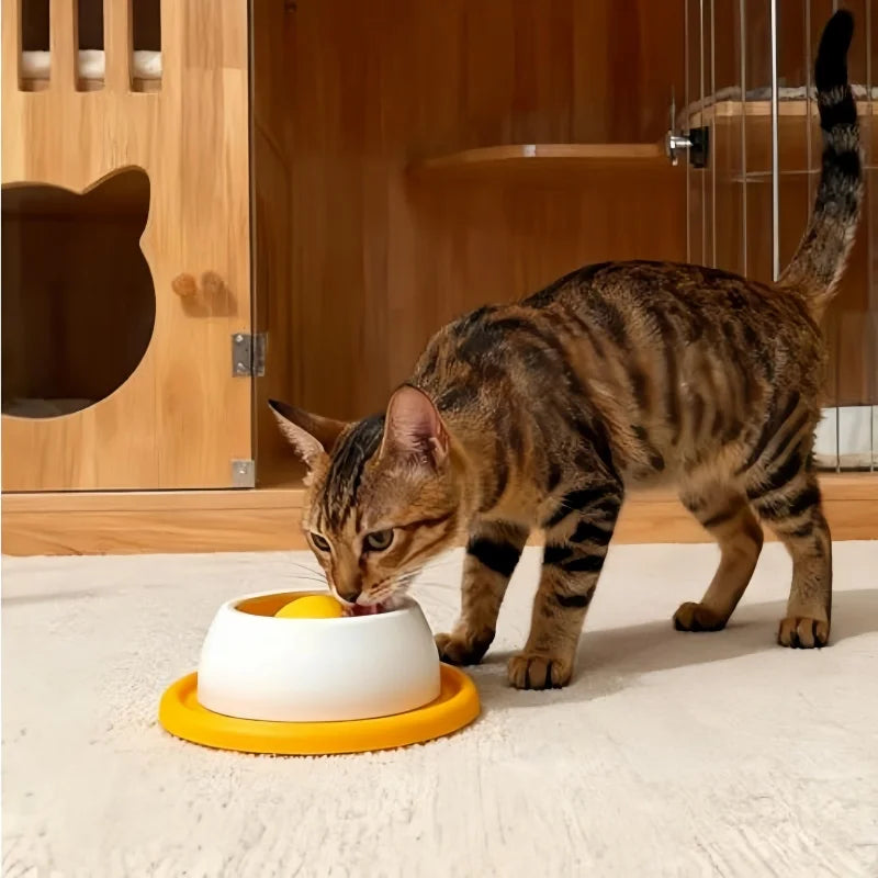 Dog Liquid Treat Lick Toy - Pets and More