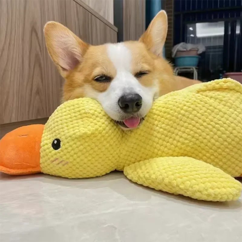 Duck plush toy - Pets and More