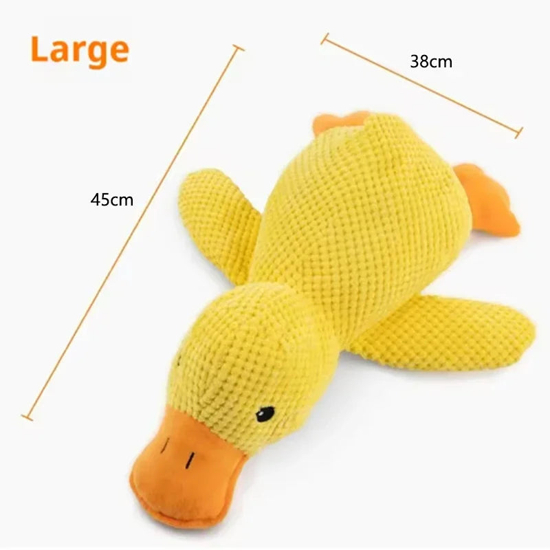 Duck plush toy - Pets and More