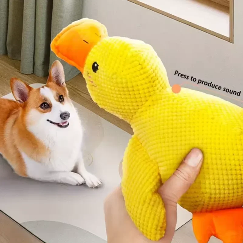 Duck plush toy - Pets and More