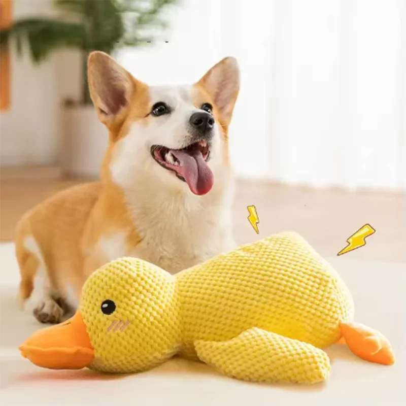Duck plush toy - Pets and More