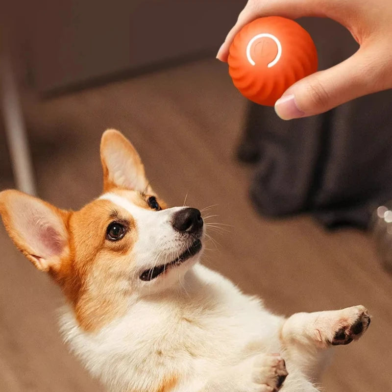 Smart Electric Ball Toy - Pets and More