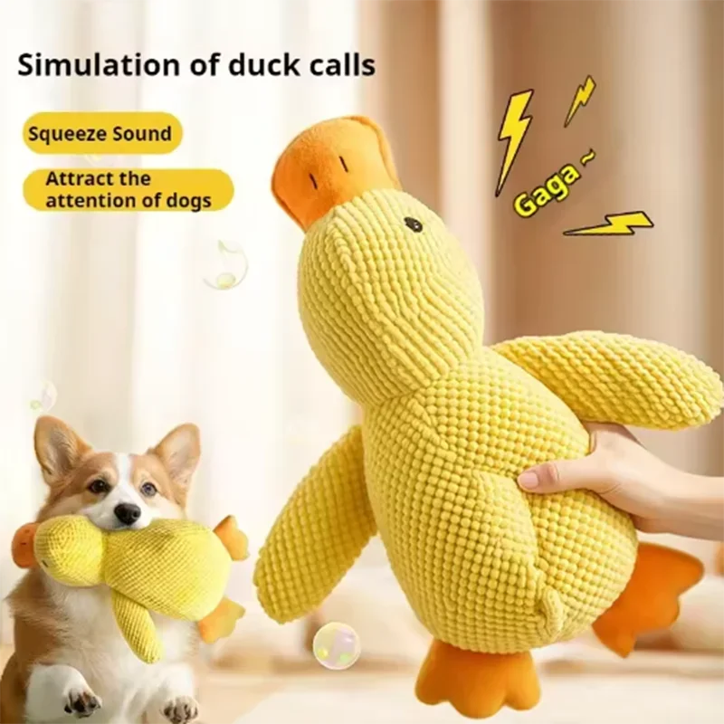 Duck plush toy - Pets and More