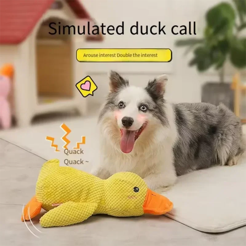 Duck plush toy - Pets and More