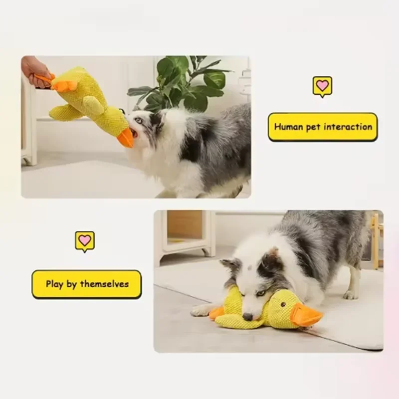 Duck plush toy - Pets and More