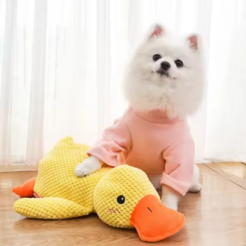 Duck plush toy - Pets and More