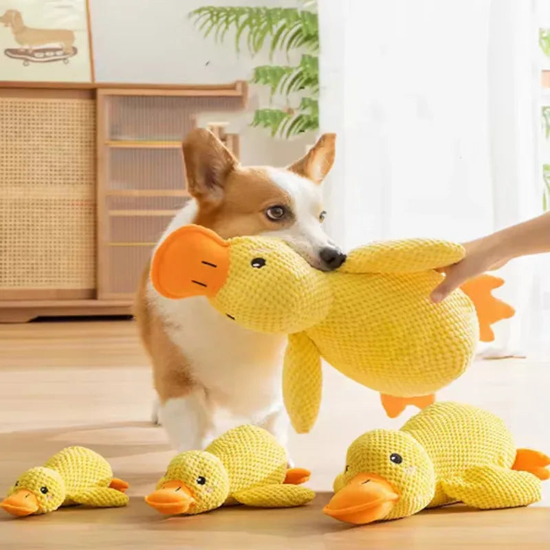 Duck plush toy - Pets and More