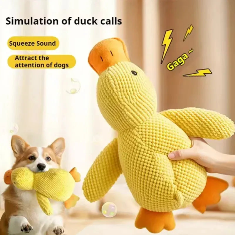 Duck plush toy - Pets and More