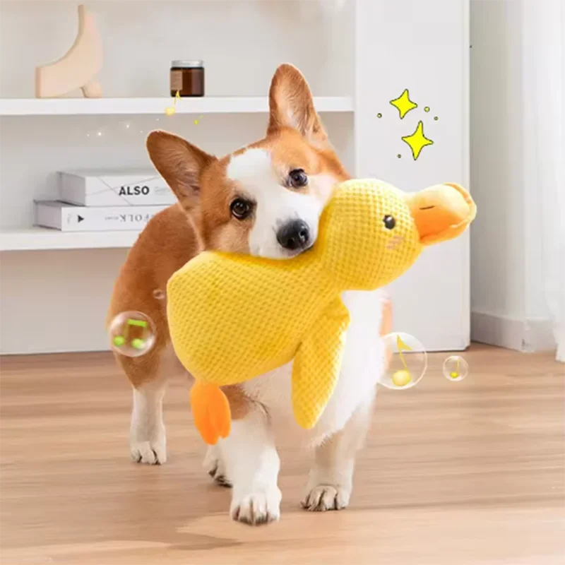 Duck plush toy - Pets and More
