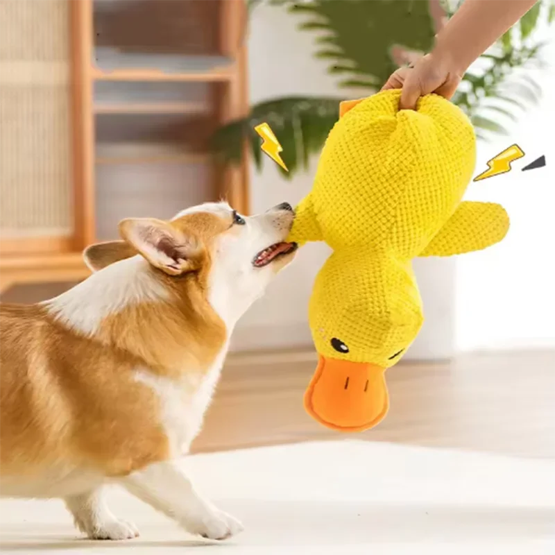 Duck plush toy - Pets and More