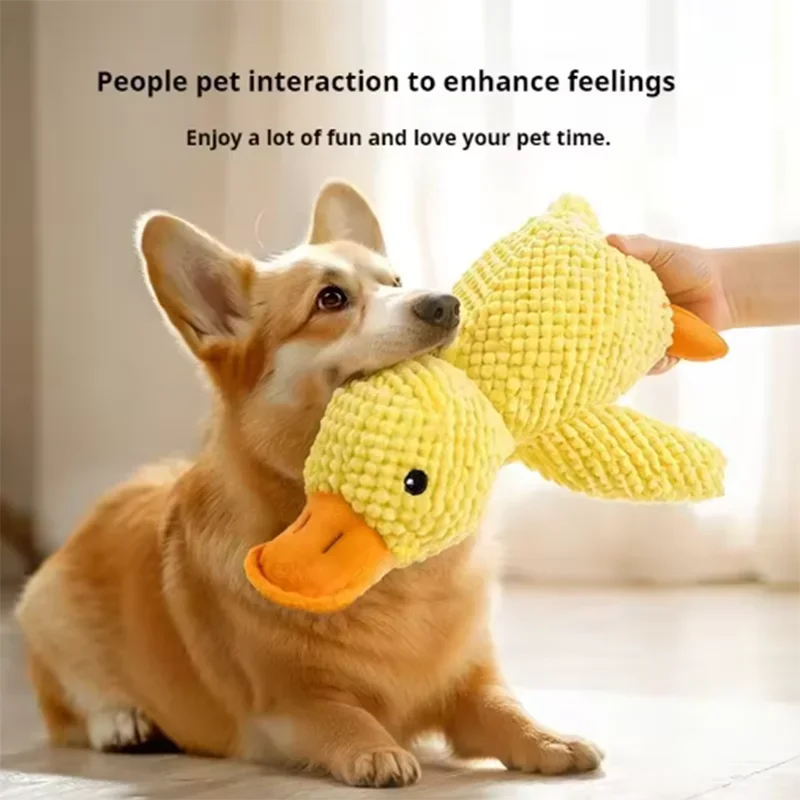 Duck plush toy - Pets and More