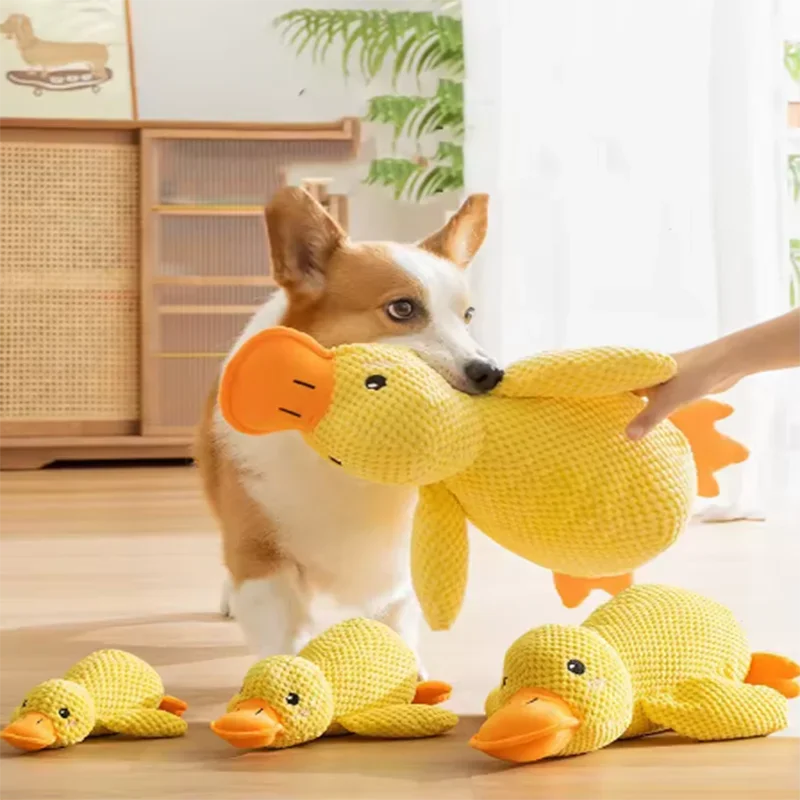 Duck plush toy - Pets and More