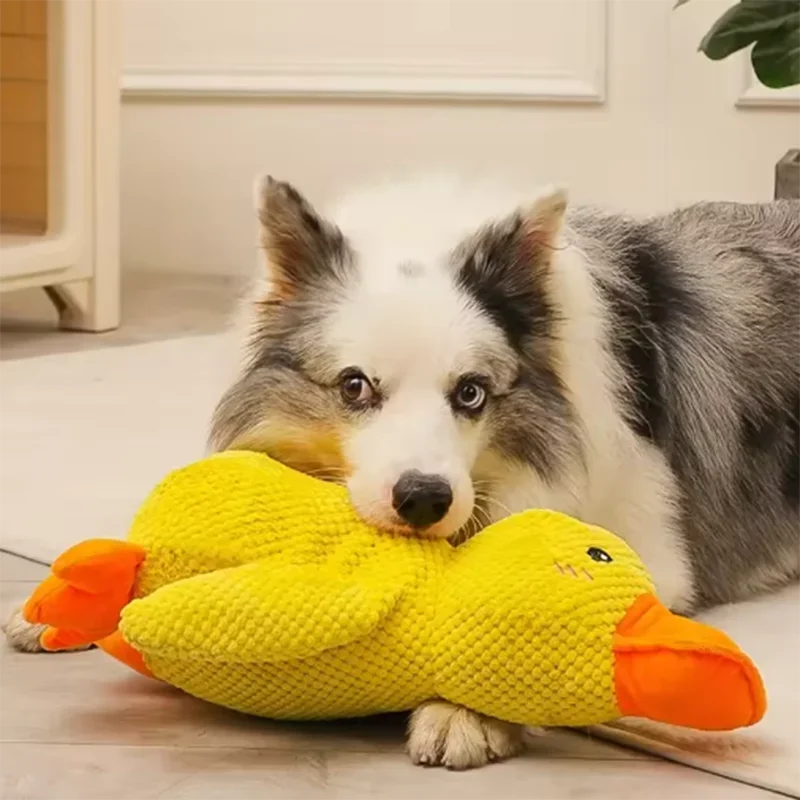 Duck plush toy - Pets and More
