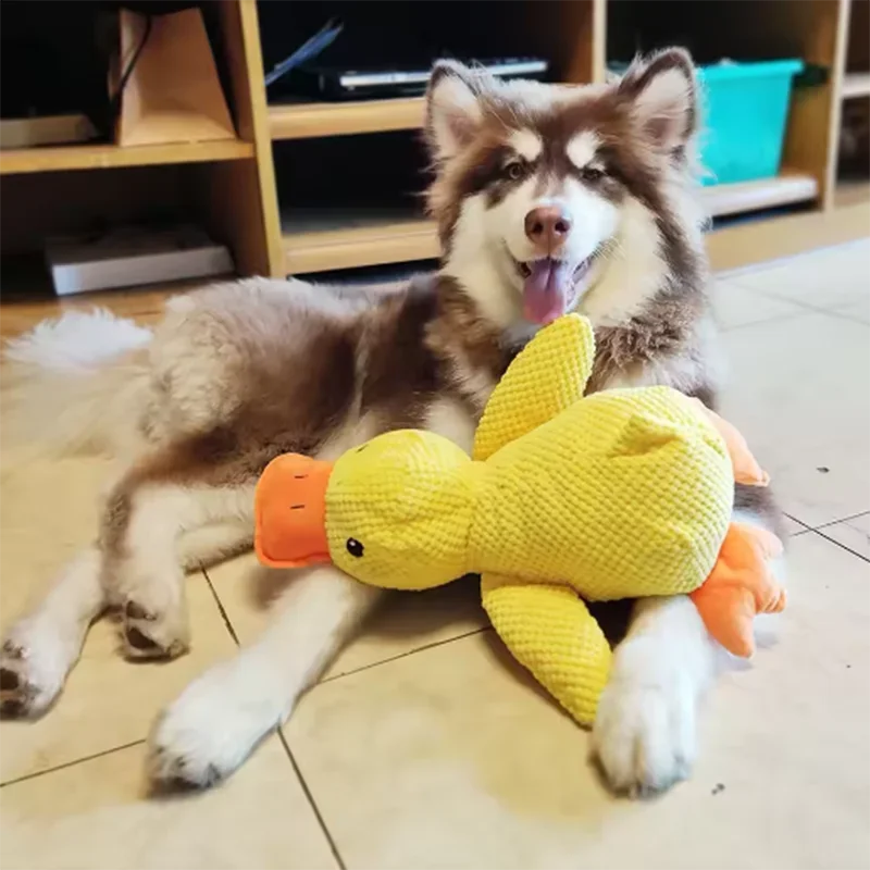 Duck plush toy - Pets and More