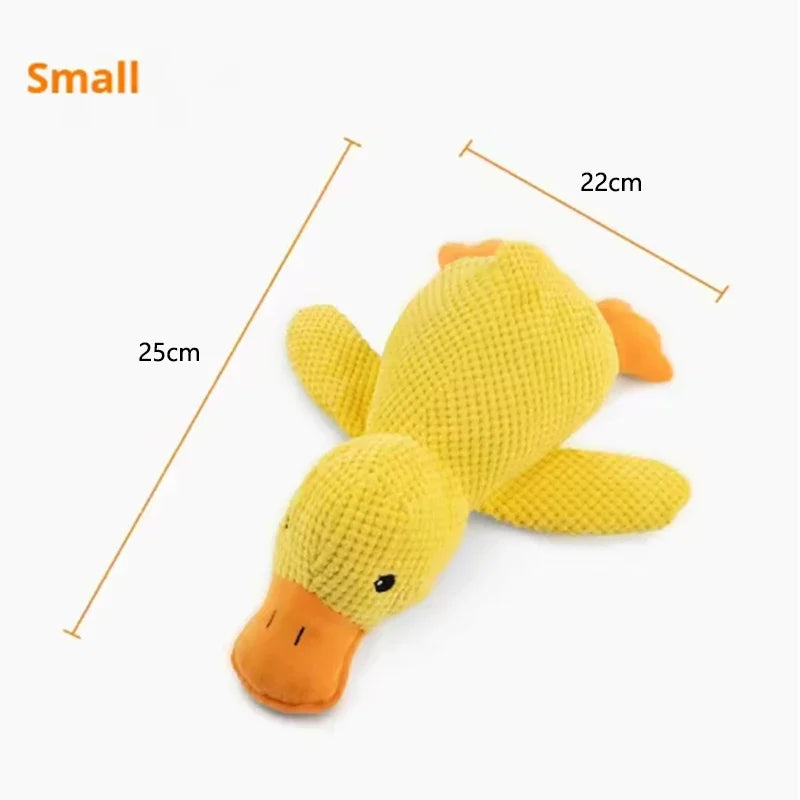 Duck plush toy - Pets and More