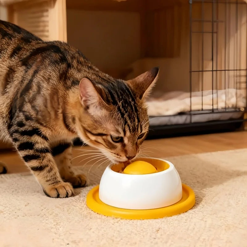 Dog Liquid Treat Lick Toy - Pets and More