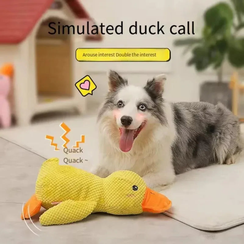 Duck plush toy - Pets and More