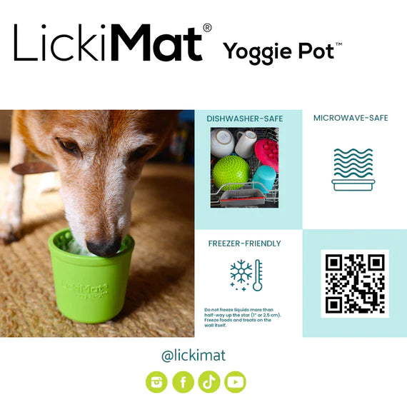 Lickimat Yoggie Pot Slow Feeder Dog Bowl - Turquoise - Pets and More