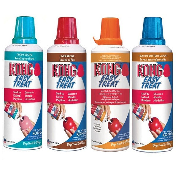 KONG – Easy Treat Paste - Pets and More