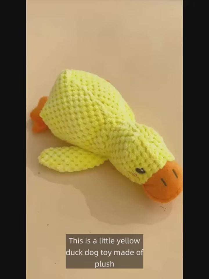 Duck plush toy