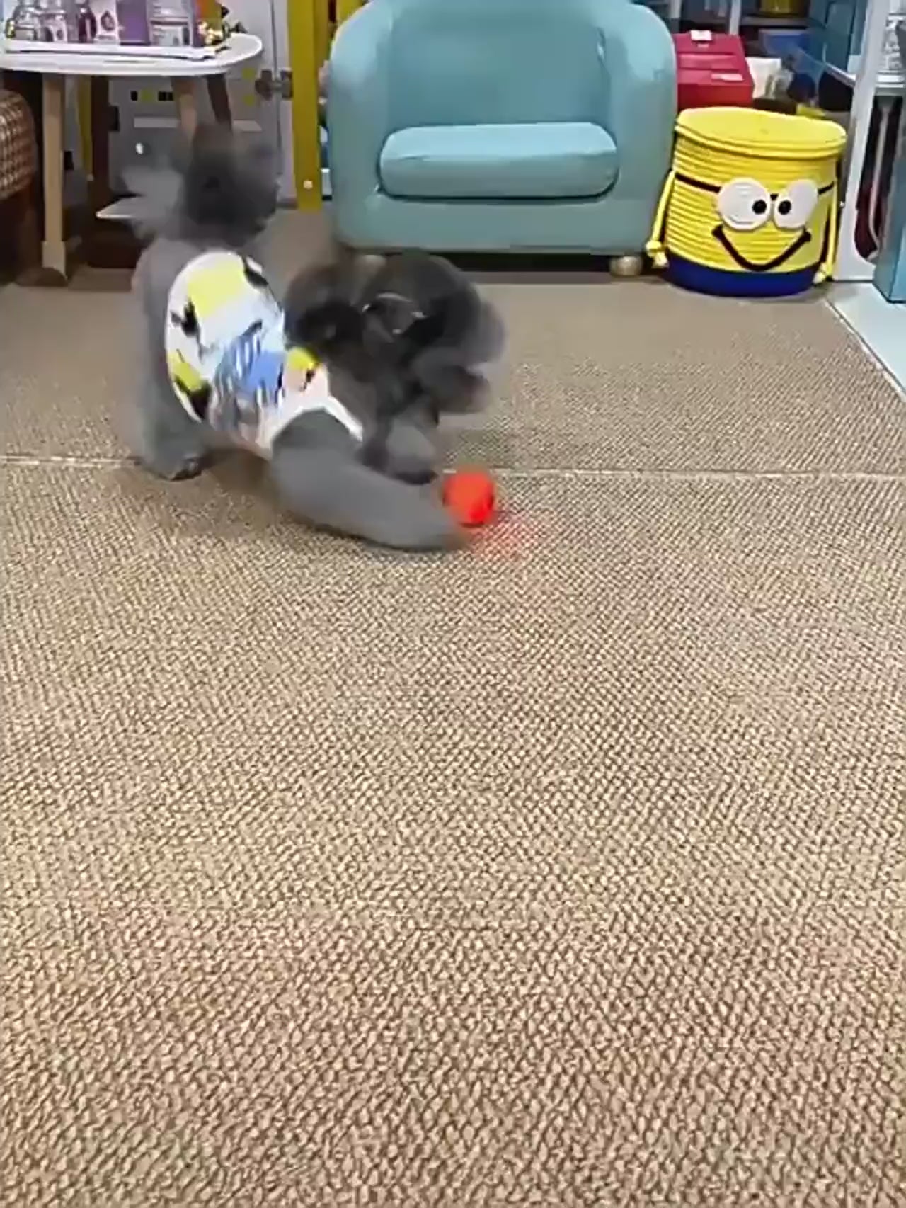 Smart Electric Ball Toy