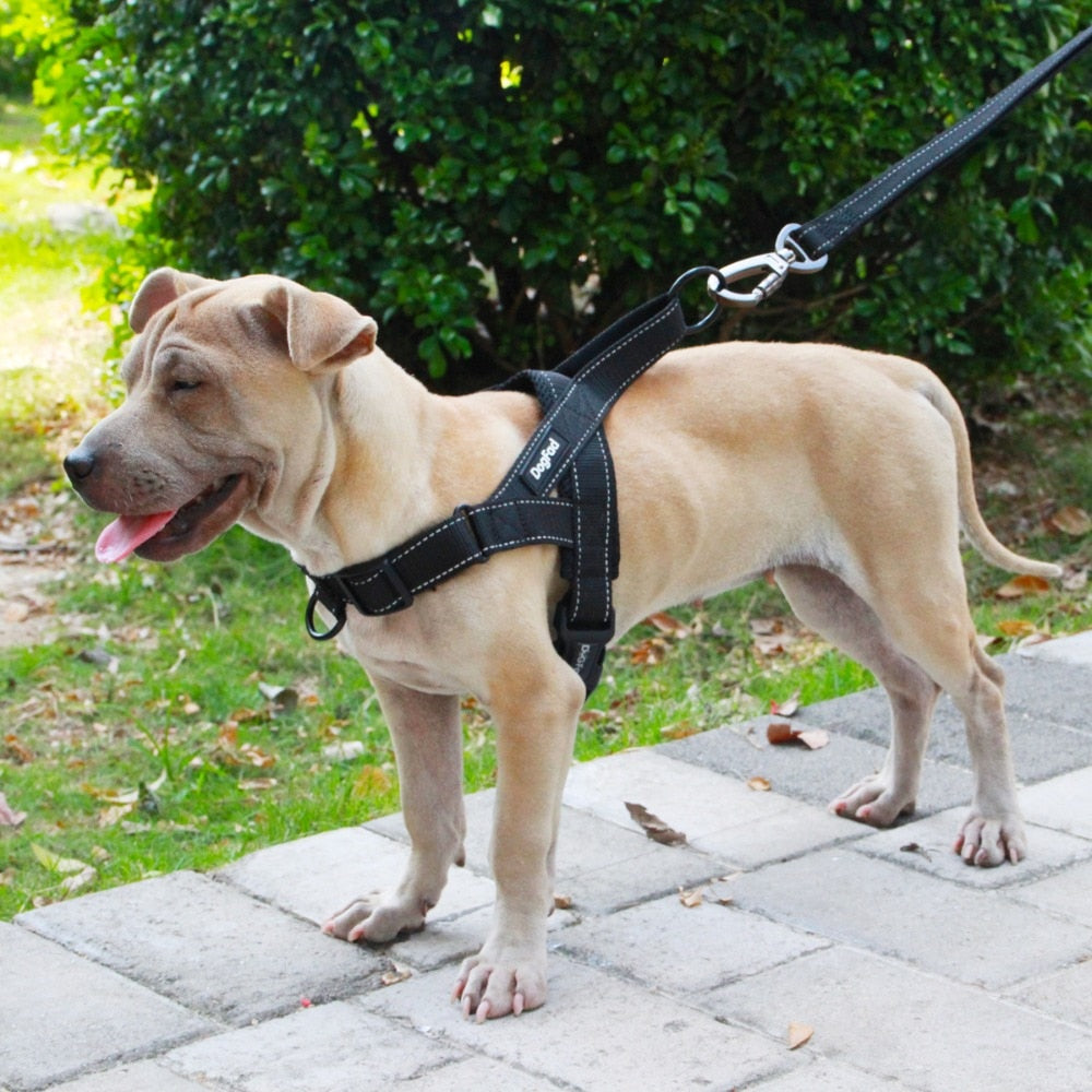 Adjustable Dog Harness - Pets and More