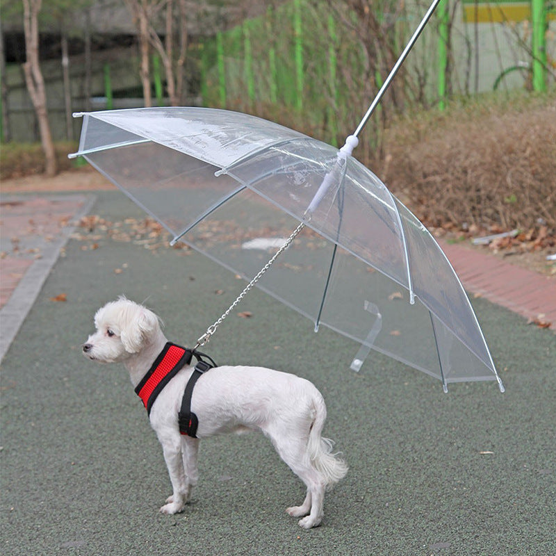 Pet Umbrella Leash - Pets and More