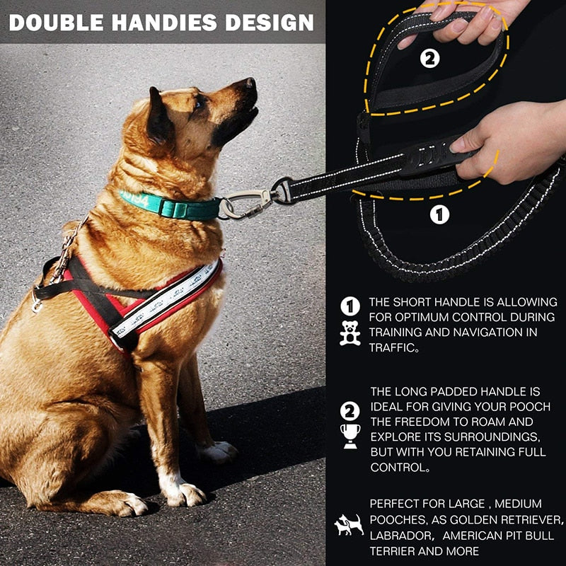 Bungee Reflective Dog Leash - Pets and More