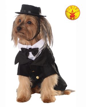 Dapper Dog Costume - Pets and More