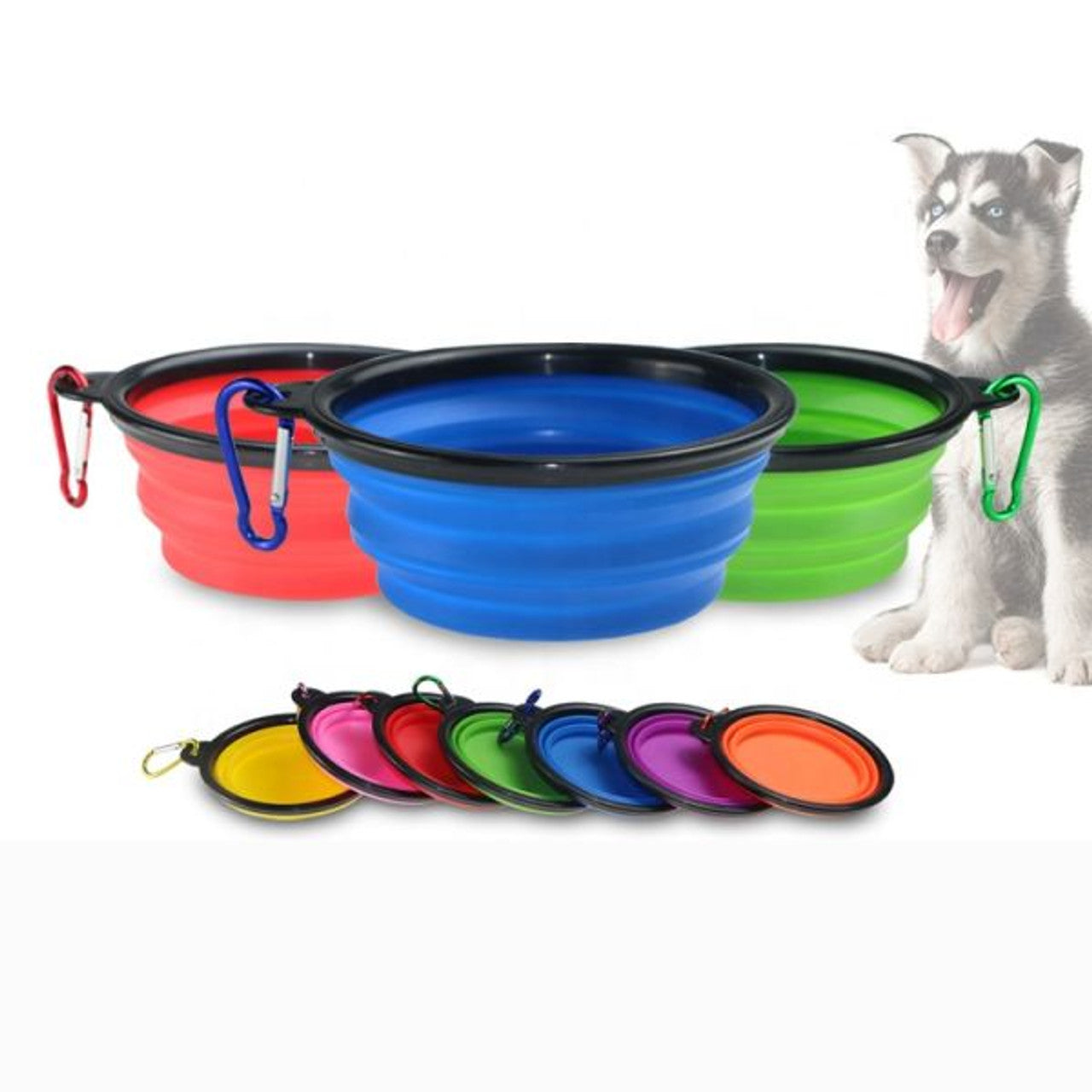 Colapsible Portable Dog Bowl - Pets and More