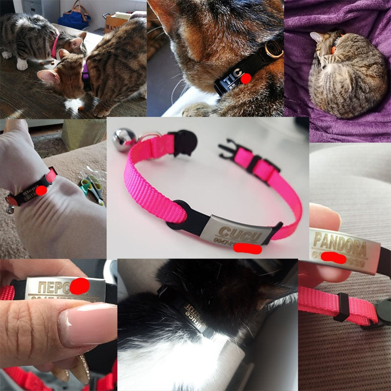 Breakaway Personalised ID Tag Cat and Puppy Collar - Pets and More