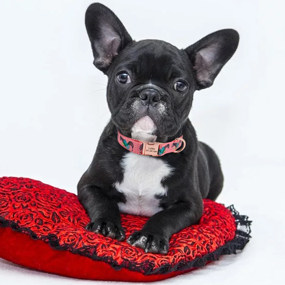 Custom Dog Collar - Pets and More