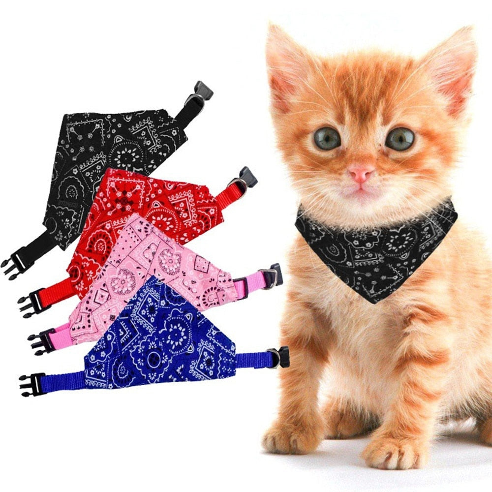 Bandana Collar - Pets and More
